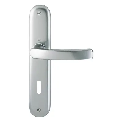 Produktbild von Hoppe Luxembourg Langschildgarnitur F9 Aluminium Stahlfarben 199/273P, OB Ovalbart