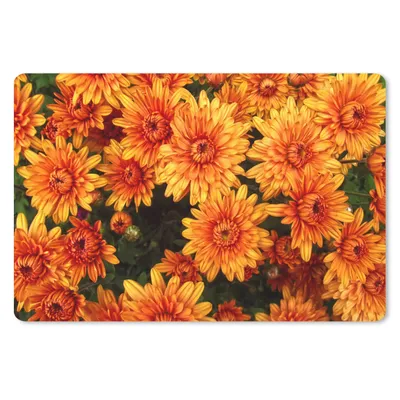 Produktbild von MuchoWow® Schreibtischunterlage Blumen - Orange - Chrysantheme 60x40 cm - XXL Mauspad - Großes Mauspad
