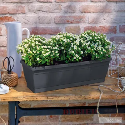 Produktbild von Venezia Blumenkasten Balkonkasten mit integriertem Untersetzer, anthrazit, 50 cm