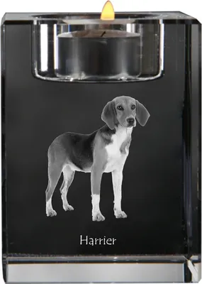 Imagen del producto de Art-Dog Portavelas para vela de té – Harrier