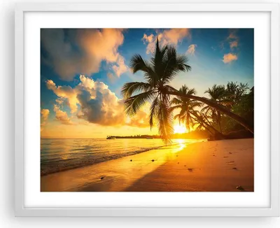 Produktbild von Gerahmtes Poster - Weißer Rahmen - Meer Strand Palme - 50x40 cm - Wand Bild - Wanddeko - Wandbilder - Kunstposter - Wandposter - Bilderrahmen - Bilder - Kunstdruck - Wandbild - P2WAA50x40-3922