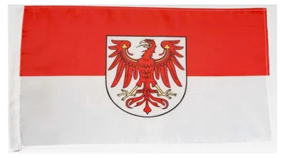 Produktbild von Flagge Brandenburg Landesdienst - Stockfahne - 30 x 45 cm