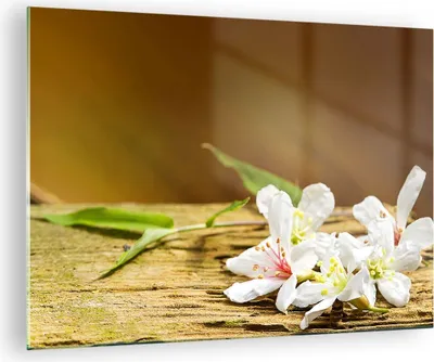 Produktbild von Bilder auf glas - Asien spa bambus blume - 70x50cm - Glasbilder - Wandbilder - Kunstdruck - zum Aufhängen bereit - Wanddekoration aus Glas - Glas Bilder - Wandbild auf Glas - Einteilig - GAA70x50-2499