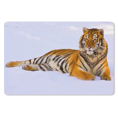 Produktbild von MuchoWow® Schreibtischunterlage Tiger - Schnee - Winter - Tiere 60x40 cm - XXL Mauspad - Großes Mauspad