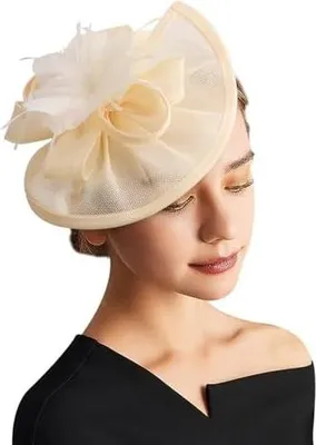 Produktbild von DRESHOW Fascinator Hüte für Damen Pillbox Hut mit Schleier Stirnband und Einer Gegabelten Clip Tea Party Kopfbedeckung