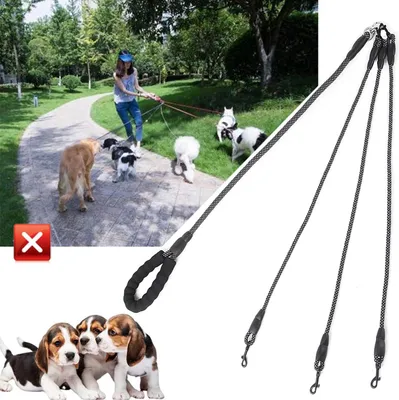 Productafbeelding van Verstelbare en draaibare halsband voor honden, geschikt voor kleine tot middelgrote honden