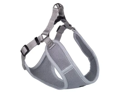Produktbild von Nobby 80625-81, Hund, Halftergeschirr, S, Grau, Einfarbig, 41 cm