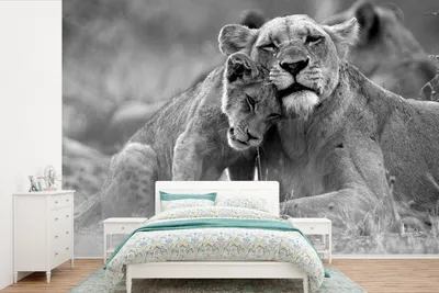 Produktbild von MuchoWow® Fototapete für Wohnzimmer oder Schlafzimmer Wandtapete Vinyl Motivtapete Löwin mit Jungtier - schwarz und weiß - 420x280 cm - Zimmer für Kinder