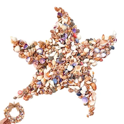 1000 Muscheln Deko Naturmuscheln Bastelset