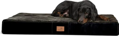 Produktbild von tierlando® Orthopädische Hundematte STUART ORTHO PLUS - Größe: 80x60cm | Farbe: 03 Schwarz