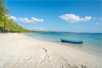 Produktbild von Wallario Poster - Boot an einem tropischen Strand, Kunstdruck Größe: 61 x 91,50 cm