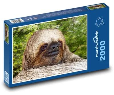 Obrázek produktu pro martinpuzzle - Puzzle 2000 - Lenochod