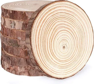 Productafbeelding van Famanu houten schijven, 12 stuks - 13-14 cm, natuurlijk hout, rond, ongeveer 15 mm dik