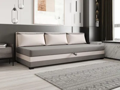 Obrázek produktu pro Jednolůžková postel 110x195 ZAJDA BIZ 2 s úložným prostorem - světle šedá / ecru