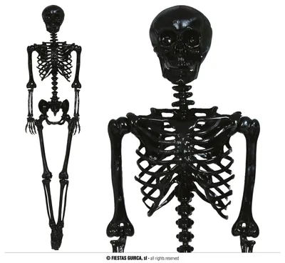Immagine prodotto di Halloween scheletro decorazione spaventoso sfondo teschio eye-catcher partito accessorio