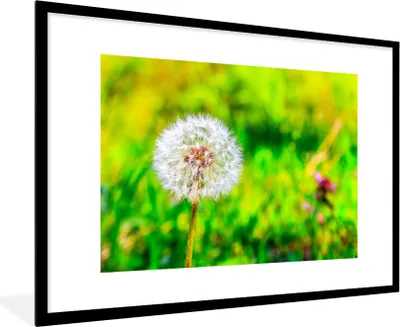 Produktbild von MuchoWow® Gerahmtes Poster Löwenzahn - Gras - Blume 90x60 cm - Poster mit Schwarzem Bilderrahmen Wandposter Rahmen Foto Bilder - Wanddekoration - Fotos