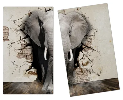 Produktbild von Spritzschutz Herdabdeckplatte Schneidebrett aus Glas Elefant 3D 2-Teilig (60x52cm)