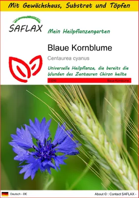 Produktbild von SAFLAX Anzucht Set - Blaue Kornblume - Centaurea cyanus - 27000 Samen - Mit Mini-Gewächshaus, Anzuchtsubstrat und 2 Töpfen