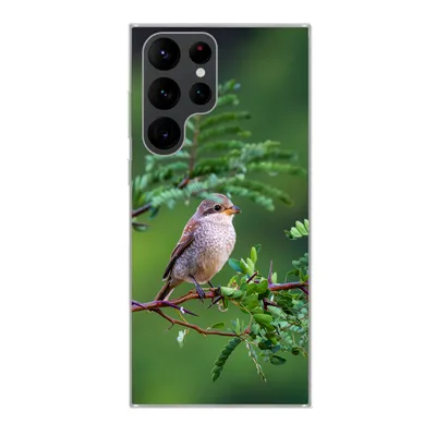 Produktbild von MuchoWow® Handyhülle Schutzhülle Hülle für Samsung Galaxy S22 Ultra Vogel - Baum - Wald Silikon Softcase Handy Hülle - Abbildung