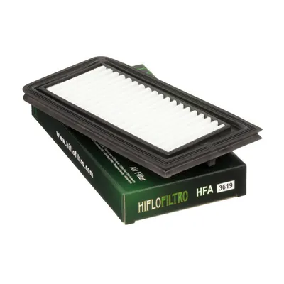 Immagine prodotto di Filtro aria Hiflofiltro HFA3619