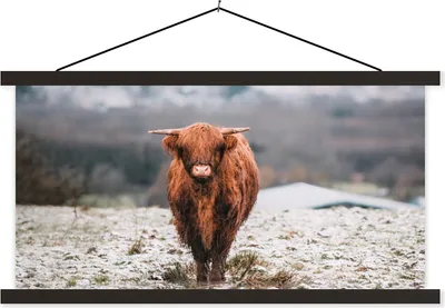 Produktbild von MuchoWow® Textilposter Schottisches Hochlandrind - Schnee - Himmel 120x60 cm mit schwarzem Rahmen - Dekoration Schlafzimmer