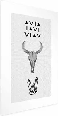 Produktbild von Posterpapier Poster - Animal Skull 40x60 cm Text n-C-0201-ao-a