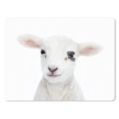 Produktbild von MuchoWow® Mauspad Mousepad Lamm - Weiß - Tiere - Natur 23x19 cm - Mousepads - Maus Mat - Pad - Mausunterlage - Schreibtischunterlage - Mauspad