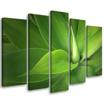 Produktbild von 5-teiliges leinwandbild grüne blätter pflanzen 150x100 cm Feeby grün wandbild bereit zum aufhängen