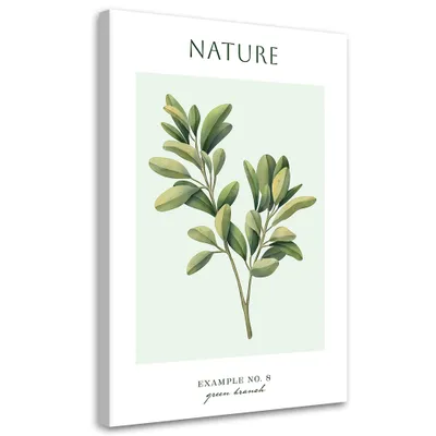Image de Toile « Branche verte – Nature » 40 x 60 Feeby Image verte pour le mur, prête à être accrochée