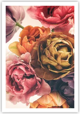 Produktbild von Poster - Poster ohne Rahmen - Blumenstrauß Blumen Braut - 70x100 cm - Wand Bild - Wanddeko - Wandbilder - Kunstposter - Wandposter - Bilder - Kunstdruck - Wanddekoration - Wandbild - P2XPA70x100-5025