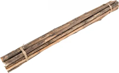 Produktbild von Sonnenblumenstiel natur 10 Stück ca. 1,15m