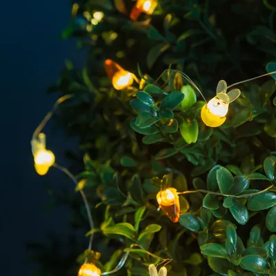 Imagen del producto de GLOBIZ: Guirnalda de luces LED - Otros y accesorios (gl-58923B)