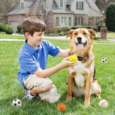 Produktbild von 12 Stück Mini-Schaumstoff-Stressbälle - Antistressball für Kinder und Erwachsene - Sportbälle zur Stresslinderung