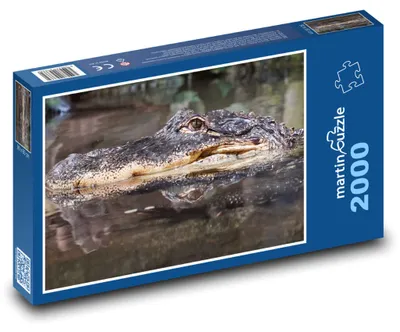 Obrázok produktu pre Puzzle 2000 Krokodíl vo Vode - martinpuzzle
