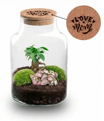 Zdjęcie produktu dla Zestaw do samodzielnego montazu „Flaschengarten” LOVE MOM - terrarium Little