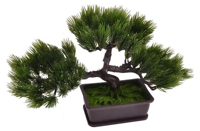 Image de Bonsaï artificiel en pot 26x21x13cm Plante artificielle Décoration de table Décoration de fenêtre