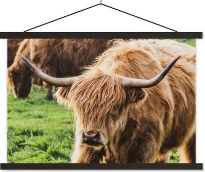 Produktbild von MuchoWow® Textilposter Schottische Hochlandrind - Tiere - Gras 90x60 cm mit schwarzem Rahmen - Aufhängungssatz