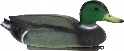 Image de décoration de jardin pour canards