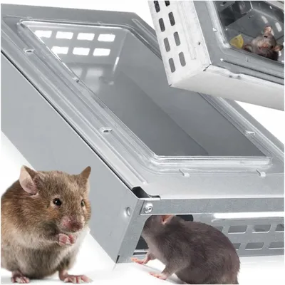 Produktbild von Lebendfalle für Mäuse Ratten Mausefalle Rattenfalle Tierfreundlich Metall 26cm