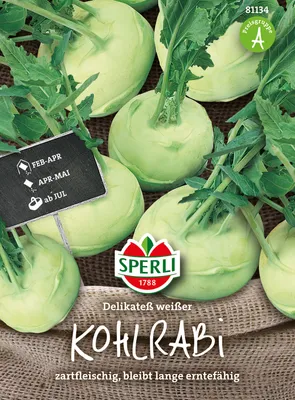 Produktbild von Kohlrabi Delikateß weißer | Kohlrabisamen von Sperli