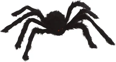 Produktbild von Guirca Spinne 70 Cm One Size