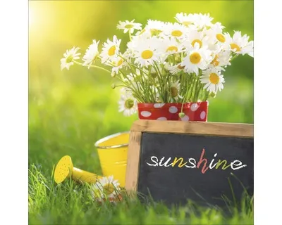 Produktbild von Glasbild Sunshine GLA1089 30x30 cm