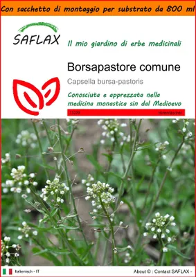 Immagine prodotto di SAFLAX Garden in the bag - Borsapastore comune - 1000 semi - Capsella