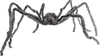 Produktbild von XXL Spinne als Horror Deko 228cm