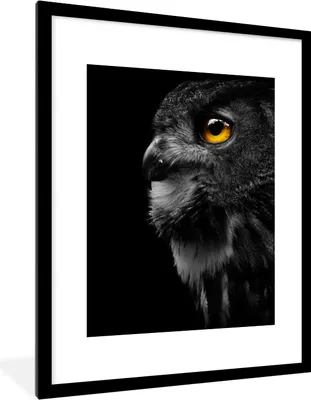 Produktbild von MuchoWow® Gerahmtes Poster Eule - Vogel - Schwarz - Porträt 60x80 cm - Poster mit Schwarzem Bilderrahmen Wandposter Rahmen Foto Bilder - Wohnzimmer - Dekorationen - Prämie