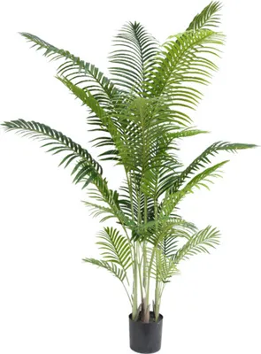 Produktbild von Künstliche Phönixpflanze 200 cm
