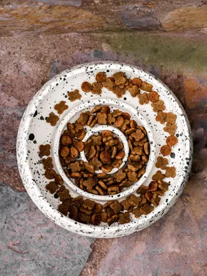 Produktbild von Evila Originals, BSPT040, Kleintierpflege, Mehrfarbig, 100 % KERAMIK, 18 x 6 cm