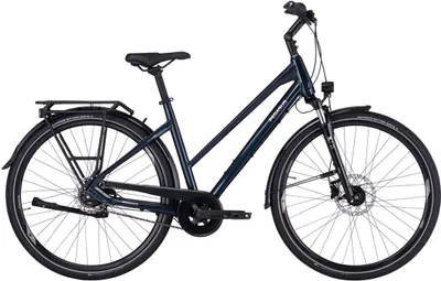 Produktbild von PEGASUS Premio SL Disc 8 Anniversary 2022 | Rahmenhöhe: 60 cm