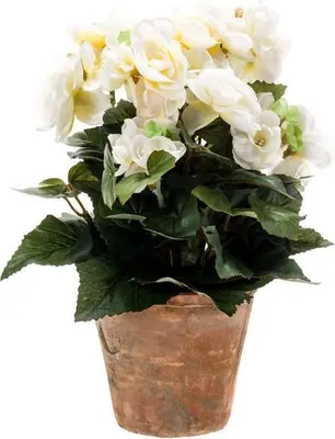 Produktbild von artplants.de Kunstblume Begonie DOBRADA im Terracottatopf, Creme, 25cm - Deko Buntnessel