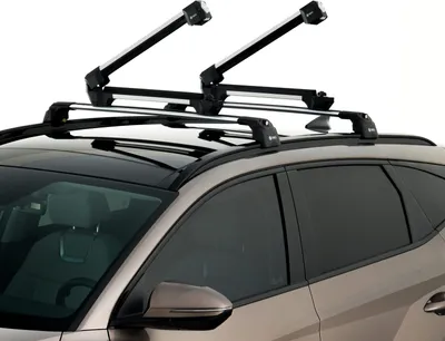 Produktbild von TURTLE SKITRÄGER APEX-4 SKI TRÄGER , Silber